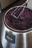 The  fermenting grapes inside a WinePod unit at  Provina's headquarters in San Jose, CA, on September 5, 2008.The WinePod is the world's first personal winemaking system that allows anyone to make wine at home with no experience required.   The WinePod is made and distributed by Provina, inc.
